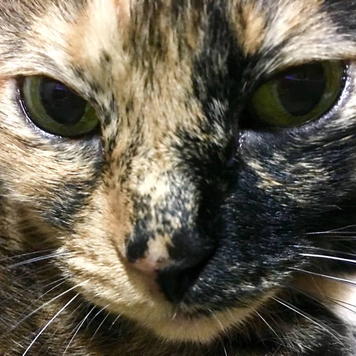 498b6b4e 548b 493e 8838 9954cd5248ca