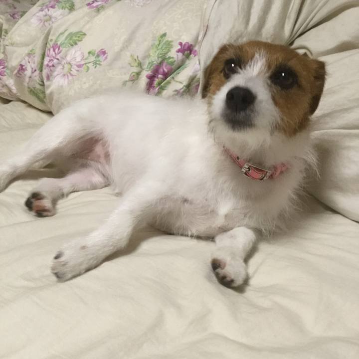 498bdbd1 2119 427d 92a6 4aaff062d134