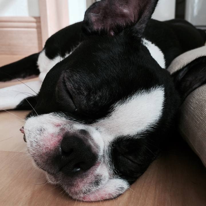 498e28bb 7b43 44ee 8bd0 756bfc641ada