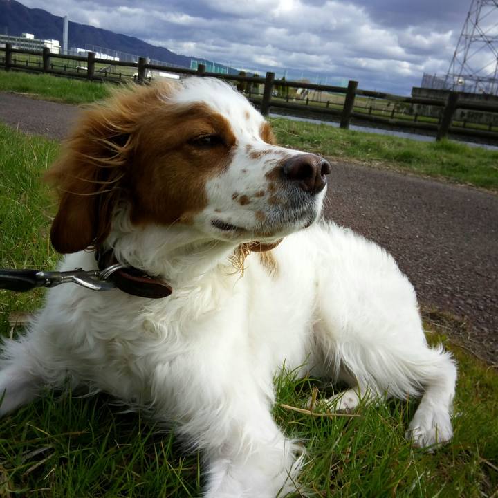 498e8ee4 1306 4ba9 abab 9dd091e814f0