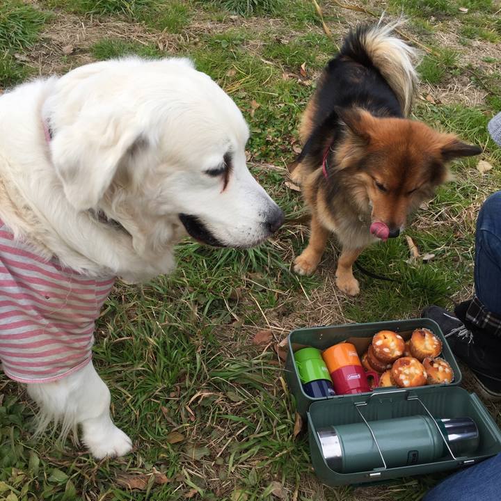 498ebe04 5e77 44b8 9f61 c6edd55469c3