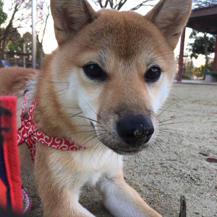 498f459e be3a 4f3f 8fd9 e6b27b07ab97