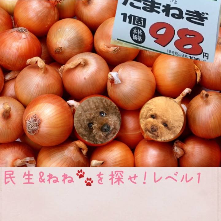 49905aa4 cbad 4131 aebf 3c8057a95d48