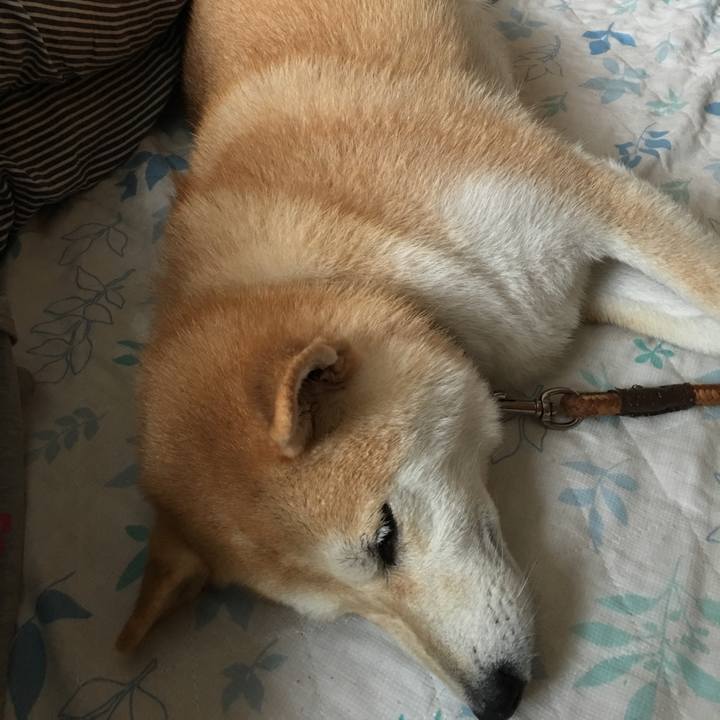 4990b48f c365 4c40 8cce a738ea7d44a4