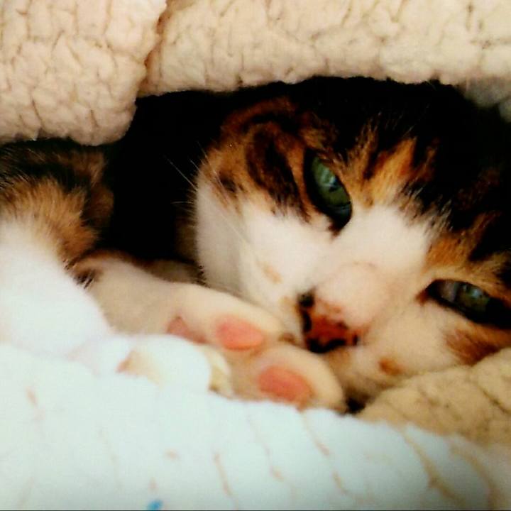 4990f945 85de 4489 aa12 b87acc99ae16