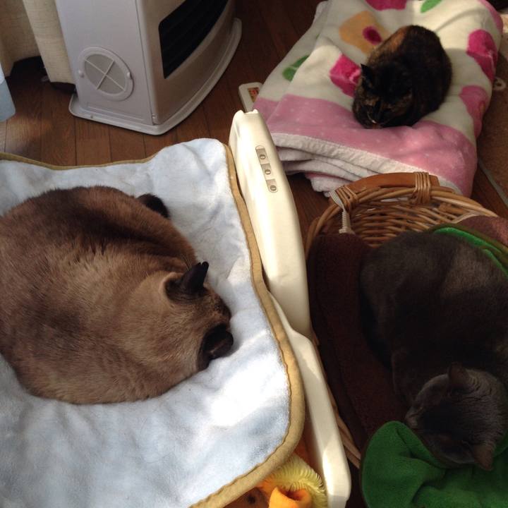 49910dff 0037 424f 8555 ba22f8be65ee