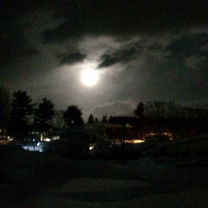 4991726f ee40 41d4 a28b 30f63166f1d4