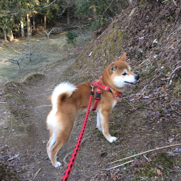 4991a6d6 d7d8 4fbe b6bc fcbd1bba2a31