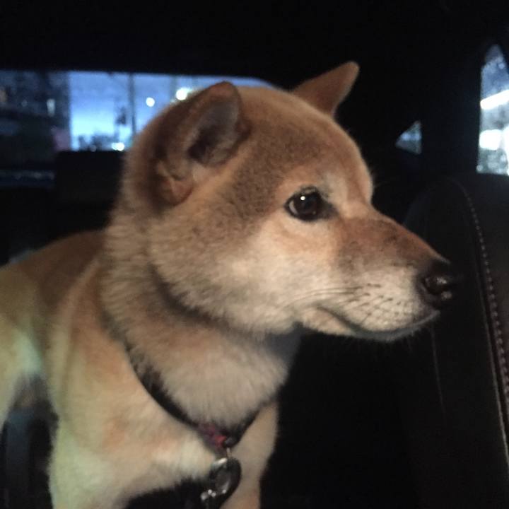 4991fa4f aec2 4792 8f8d 972397e76875