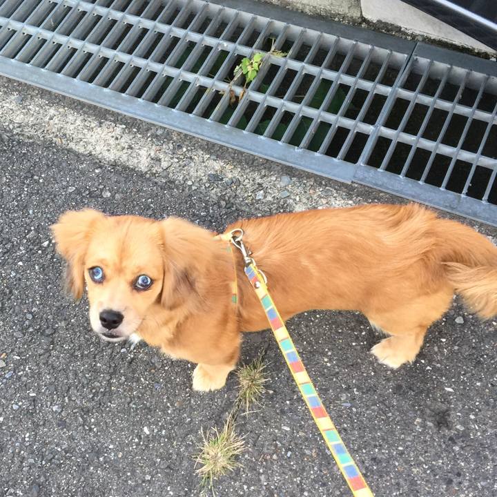 49931cbf b486 4d77 9d61 9610ba299863