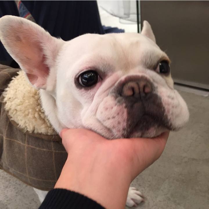 49934e09 cc22 404f b213 9f9d7aca1bac