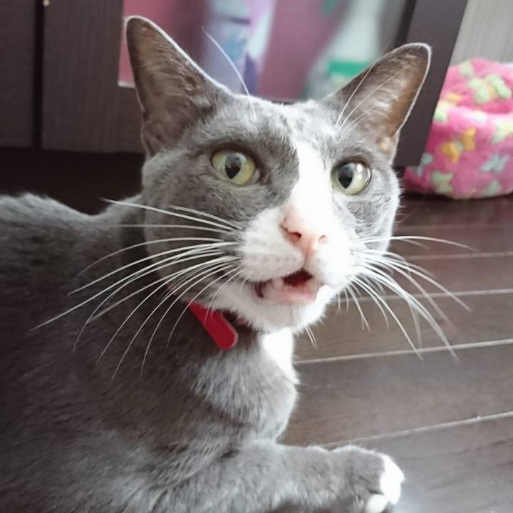 499429b3 b16b 4e48 a412 a4d4e635999e