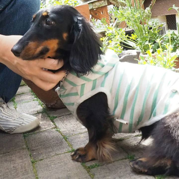 49945999 58e7 4bf1 ad9a 68a46bc06fde