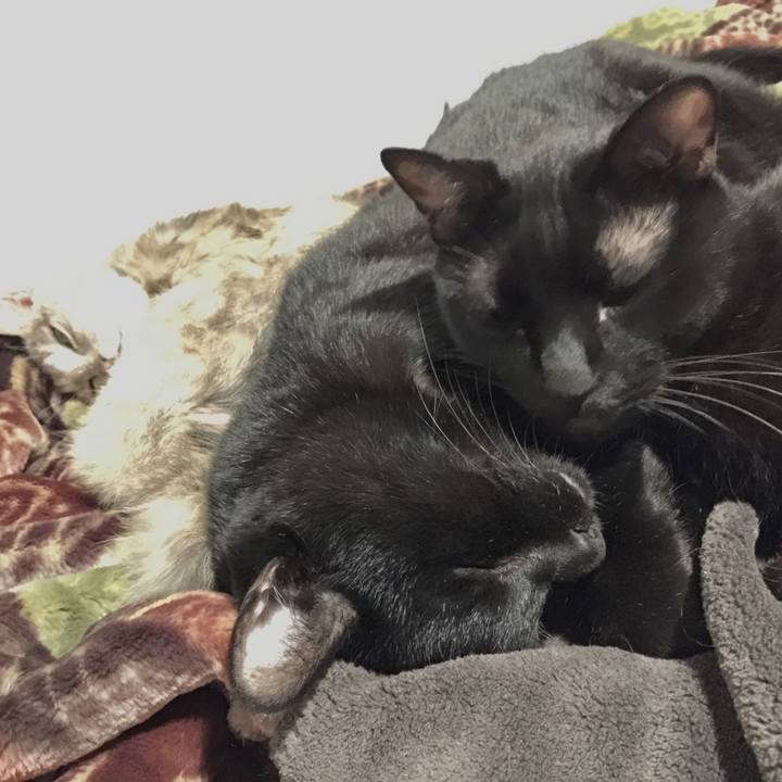 49945d20 9000 4eff a92f fa36207c76d8