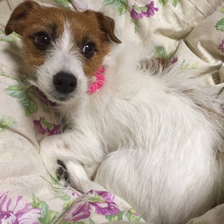 4994c14e 8665 4f1c 9d65 0da0cb0e23e0