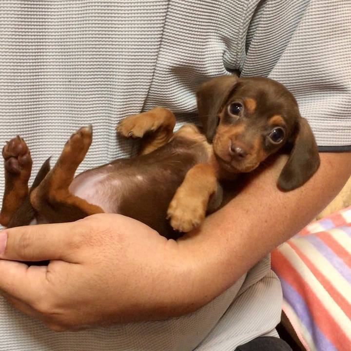 4994e251 e010 40d8 b8e2 86237a97553a