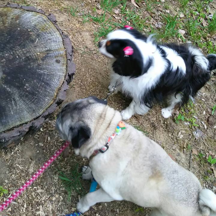 4994f6dc f381 4698 acf5 3002f089285a