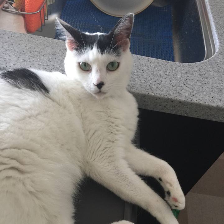 49951aba e317 4df4 abc3 5106b723159f