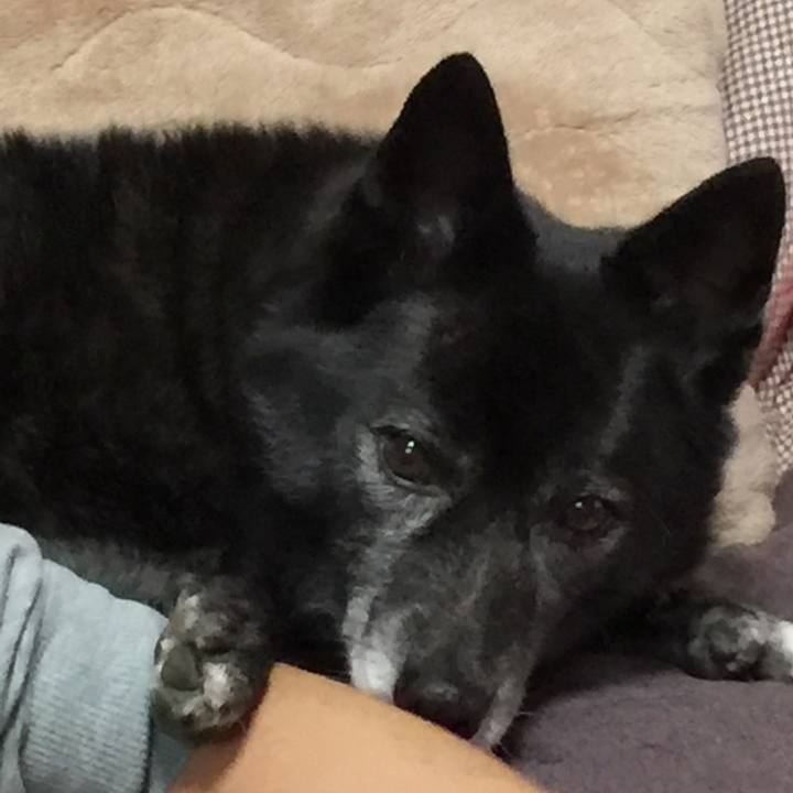 4995d939 aa2e 4a7b 9a16 7e8f4416991a