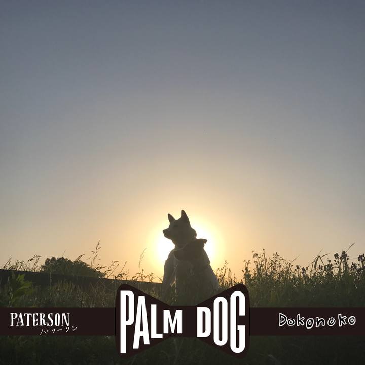 49967fcb ef7a 4c27 87ab 849788716aa3