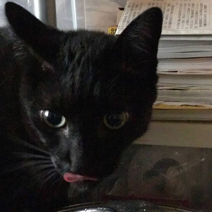 49970e1f 6a3b 47ea acdf d383705c2d19