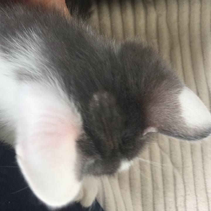 4997667e 3999 47dd 814d 6b3d181fdf33