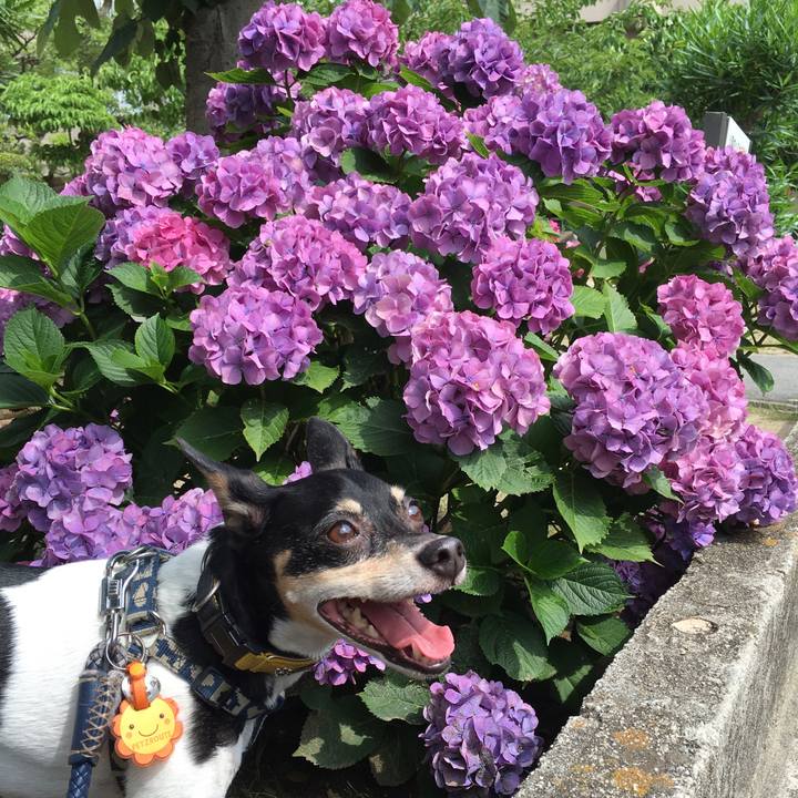 499779fd fc78 44f6 a10f d01e30074de5