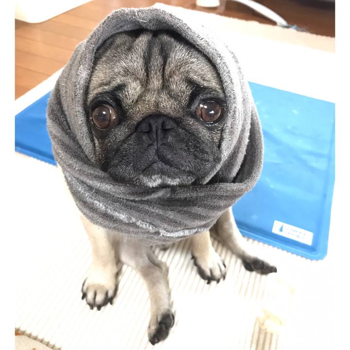 4997ac1b 86e8 4f21 8680 e0daa6bbdb10