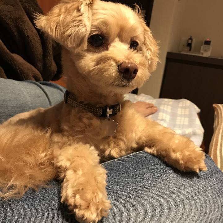 499853ce 390d 415a b829 9cd8601788ad