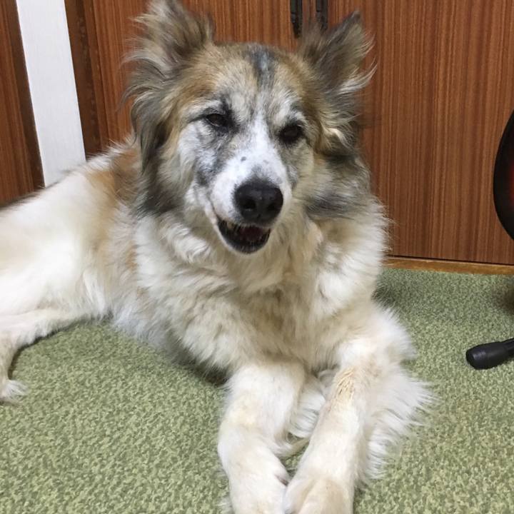 4998c4cf 4231 4e71 92ce 2915ee666379