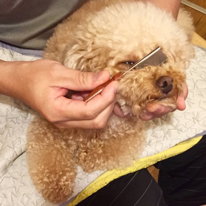 4998d92f c4dc 44b4 9a94 ce4e0ca5b7c0