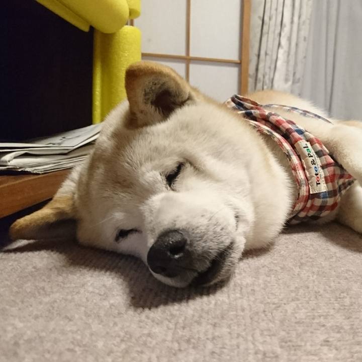 4998ec94 a60e 4590 81d6 44e772d9b9cf