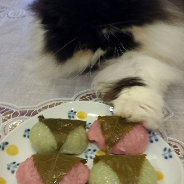 499901b5 4c85 4194 b524 ec34b2dc3550