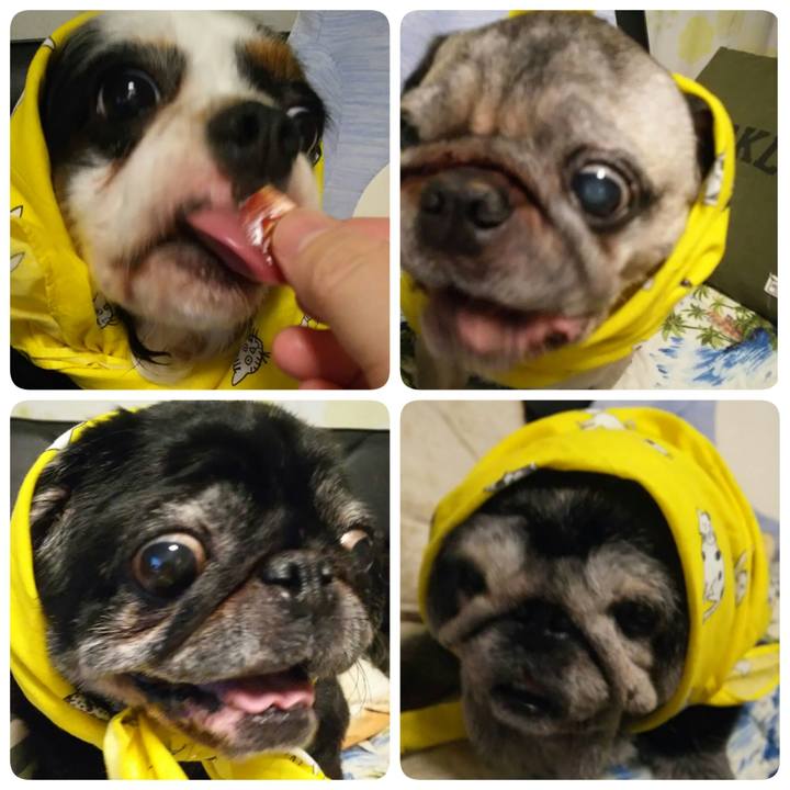 49990656 e32b 438e 8ccf 87467699e50c