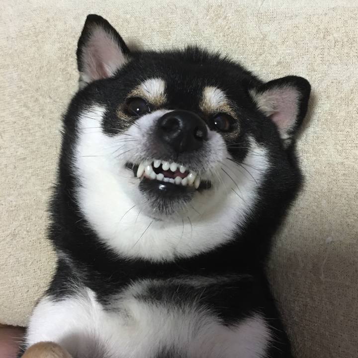 499973db 4b85 41b2 8c6e 311fae29881d