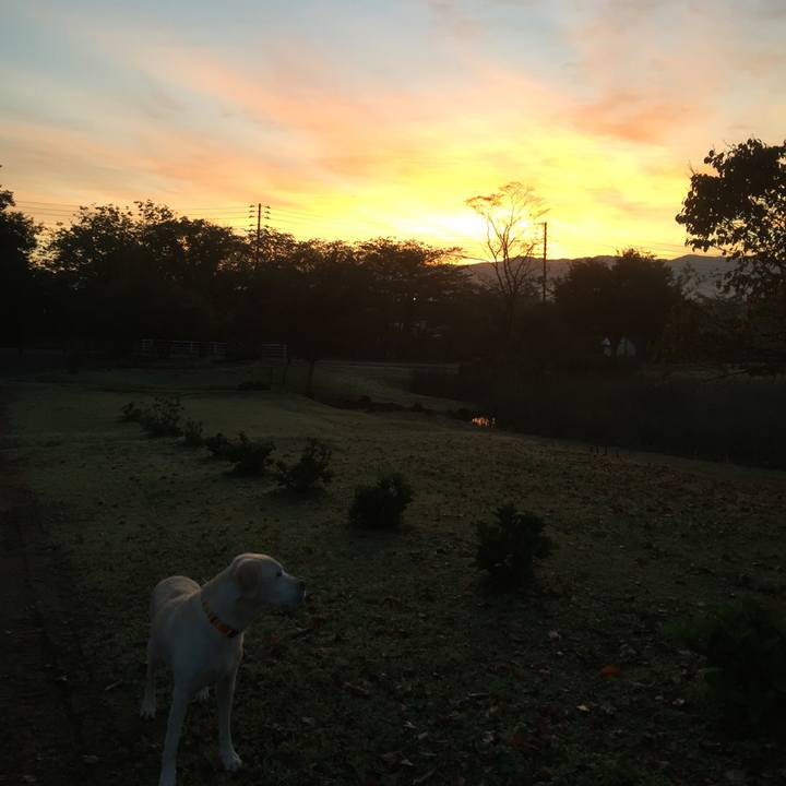 4999e58e 2c6d 4194 bc53 1de18498cdcd