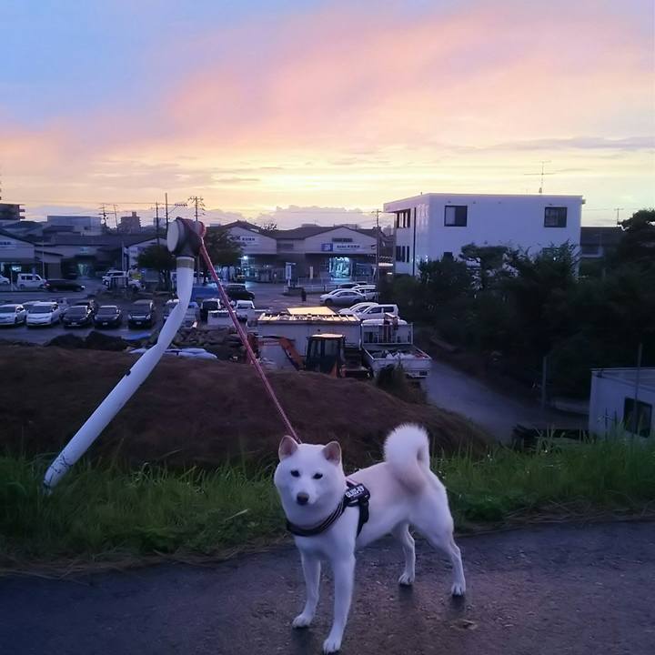 4999f8fa 849f 4d57 b19d 66ec0f1d6769