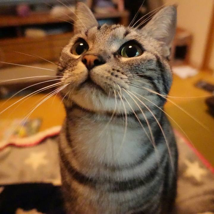 499a159a def5 46de bba3 bb766f6ad70b