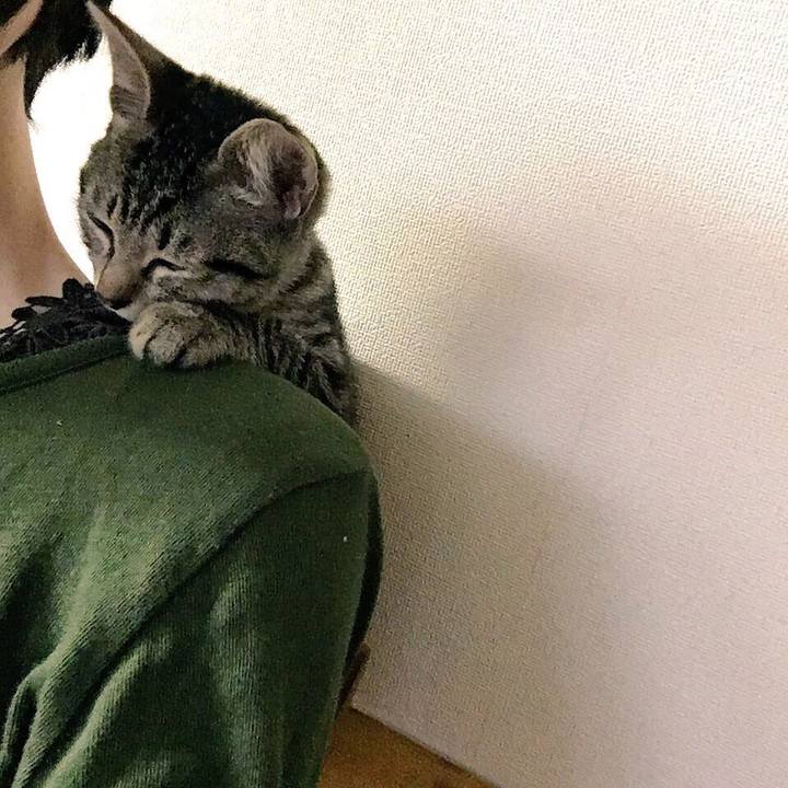 499af325 d834 4789 af36 d9cf932a86d8