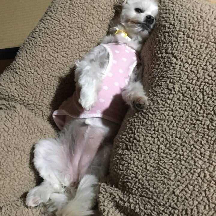 499b5e44 779b 435a 8564 56d9d6455cb1