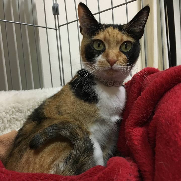 499b73de bc69 4aa6 9eb4 f4d99b994fe9