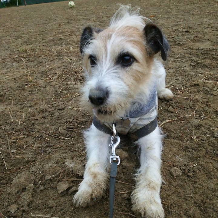 499c0e91 96e9 47af 9c3d 9037798a9686