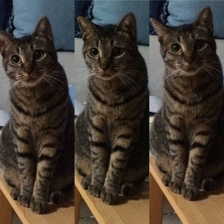 499c724d e17b 4f19 ad21 2c0110ccb79d