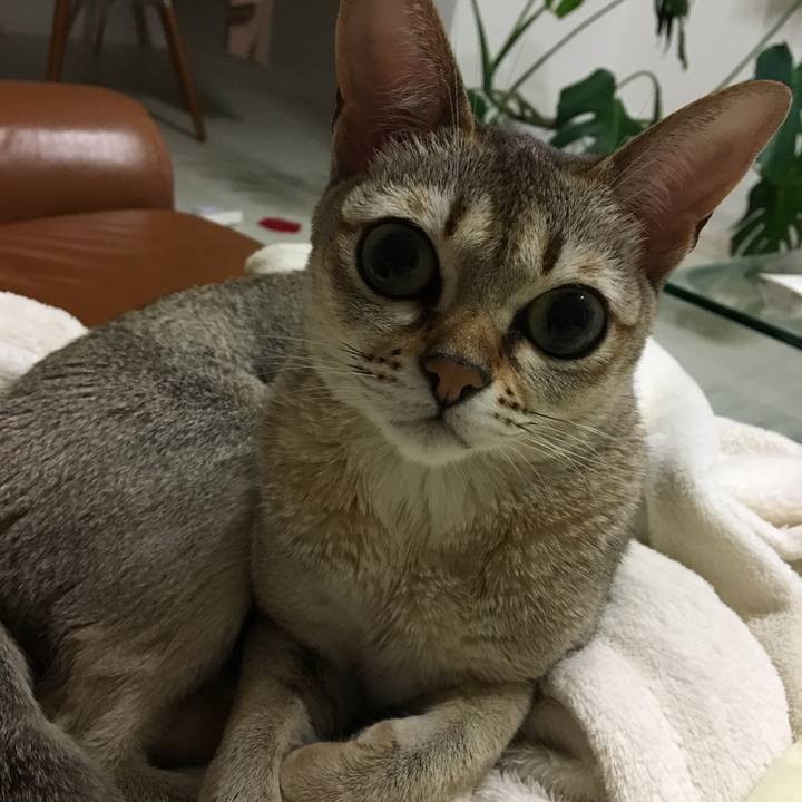 499c9986 67ec 4eb6 9ada c8c13693f9b6