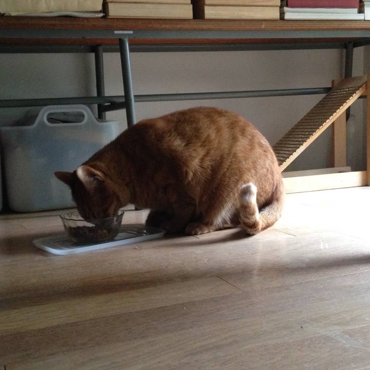 499cb4f1 c235 4069 b2ca c4753e0c4609