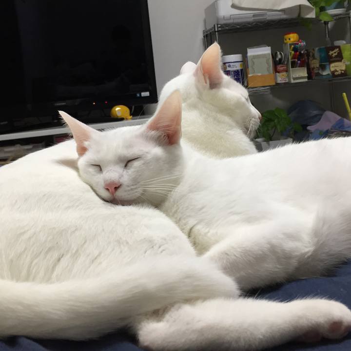 499ccba2 755a 4dee af75 fa5b2a1acdc7