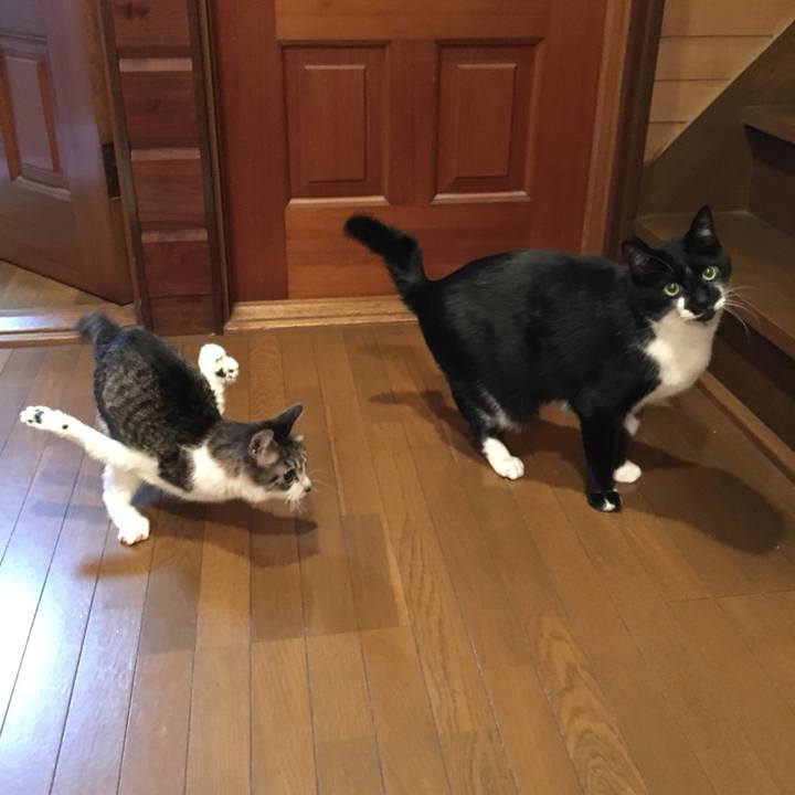 499d2f56 7150 4a6e b433 45352f6c52e4