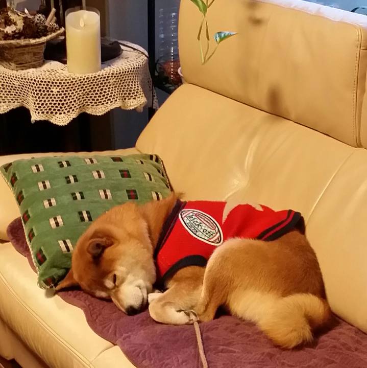 499d7881 4ad5 45b2 88f4 da44e2ddada3