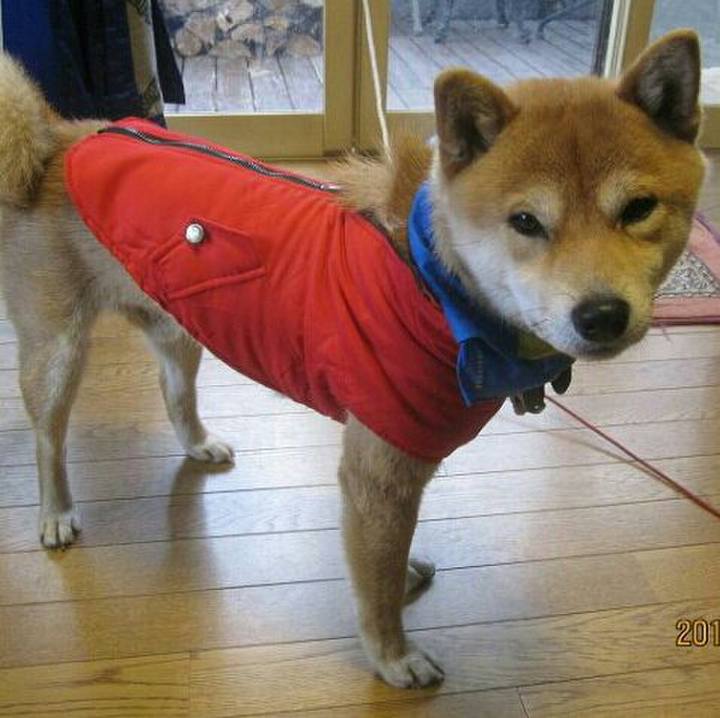 499d8f24 7772 435d 862b 5bca129e32a4