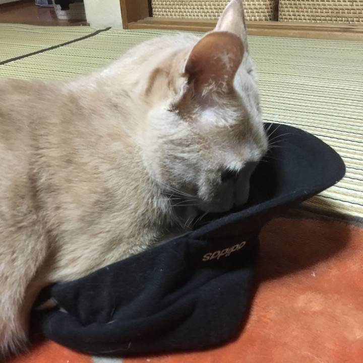 499df87d 5c60 4c9f 920c 388a54817010